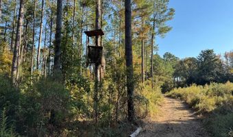 TBD Binnicker Bridge Road, Bamberg, SC 29003