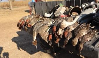 4000 E 110 Rd, Alva, OK 73717