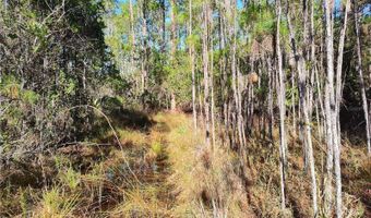 SMITH STREET, Astor, FL 32102