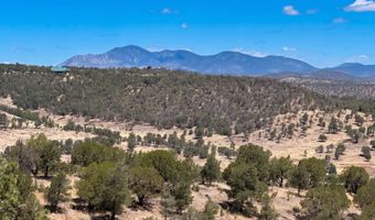 217 Deer Park Dr Lot 101, Alto, NM 88312