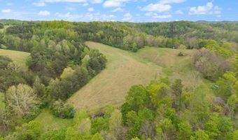 371 Big Branch Rd, Beattyville, KY 41311