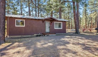 25327 Coronado Trl, Alpine, AZ 85920