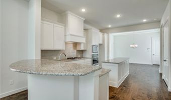 1000 Marian Dr, Allen, TX 75013