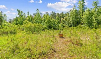 5840 Green Swamp Rd NW, Ash, NC 28420
