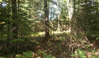 V/L 30AC Lake Winyah Road, Alpena, MI 49707