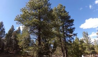2805 N Dead Horse Lp, Alton, UT 84710