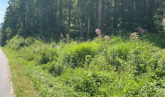 0 Martins Creek Rd, Barnardsville, NC 28709