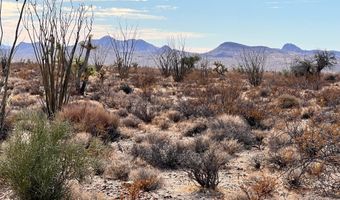 Lot 166 Lake Havasu Acres, Yucca, AZ 86438