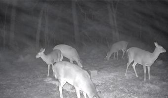Chickadee Court, Agency, MO 64401