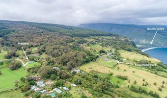 48-5319 KUKUIHAELE Rd, Honokaa, HI 96727