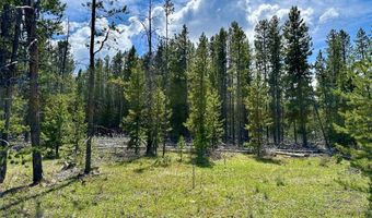 Lodgepole Lane W lot 47, Anaconda, MT 59711