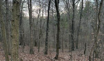 Hwy 9, Blue Springs, MS 38828