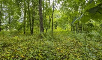 V/L 60th St Par C, Alto, MI 49302