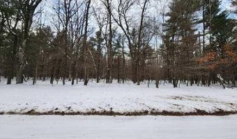 L28 And L29 S Badger Lane, Arkdale, WI 54613