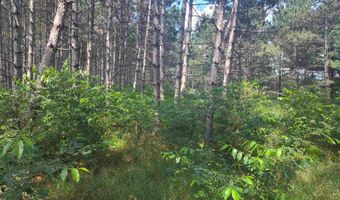 Lot 113 Beaver Lane, Arkdale, WI 54613