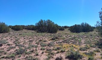 268 N 5383, Concho, AZ 85924