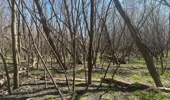 gentryville Trail Trail, Albany, MO 64402