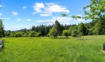 69931 Fishhawk Rd, Birkenfeld, OR 97016