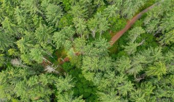 50 Popple Swamp Rd, Cornwall, CT 06754