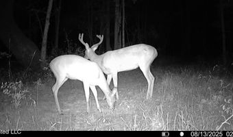 2 Champion Hill Rd, Bolton, MS 39041