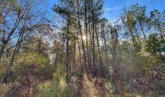 0 County Road 25, Reform, AL 35481