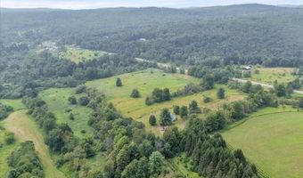 1668 State Highway 41, Afton, NY 13730