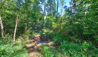 3931 Upper Bethany Rd, Ball Ground, GA 30107