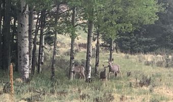 168 Mertz Pl Lot 65, Angel Fire, NM 87710