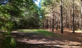 01 Goose Platter Rd, Batesburg, SC 29006