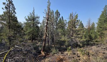 Cathy Way lot 21-23, Beatty, OR 97621
