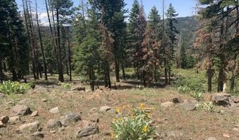 Lot 35 Pyramid Rd, Alturas, CA 96101