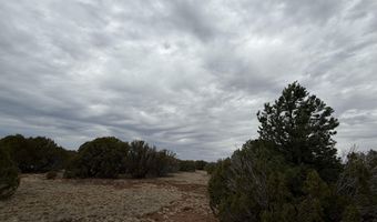 149 County Rd 8057, Concho, AZ 85924