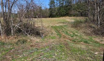 1827 Willis Gap Rd 104, Ararat, VA 24053