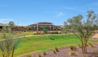 11049 W HADLEY St, Avondale, AZ 85323