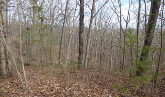 Bayside Blvd lot # 35, Bean Station, TN 37708