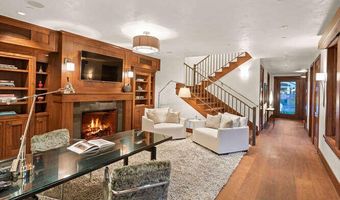 719 E Hopkins Ave 202, Aspen, CO 81611