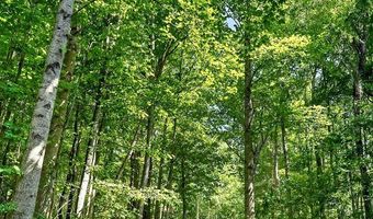 2926 Bryant Ridge Rd, Baxter, TN 38544