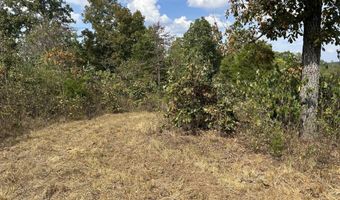 Hc 73 Box 4925 Track 20, Ava, MO 65608