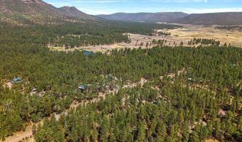 8 County Road 2083, Alpine, AZ 85920