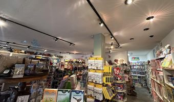635 E Cooper Ave, Aspen, CO 81611