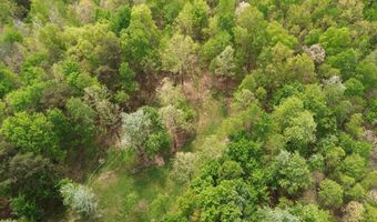 566 A Tunnel Ridge Rd, Argillite, KY 41121