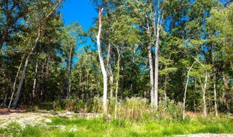 575 Rabbit Pen Dr, Appling, GA 30802