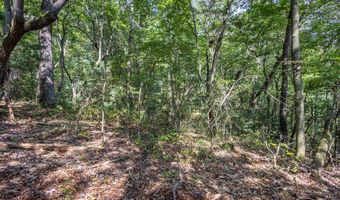 23 59 Ac Chestnut Flats Rd, Andrews, NC 28901