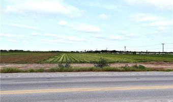 N Cesar Chavez Road, Alamo, TX 78516