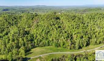 1619 Squirrel Creek Rd, Ararat, VA 24053