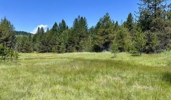 Sky Horse Drive lot 42, Cascade, ID 83611