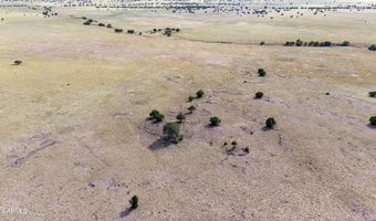 A1 Kirby Lane A1, Ash Fork, AZ 86320