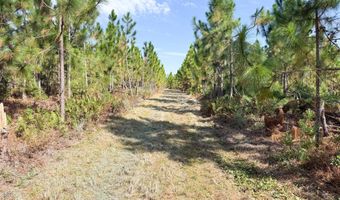 100 Doc Hunter Rd, Baxley, GA 31513