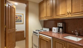 316 W End St, Aspen, CO 81611