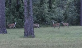 Bush Isle Rd, Andalusia, AL 36421
